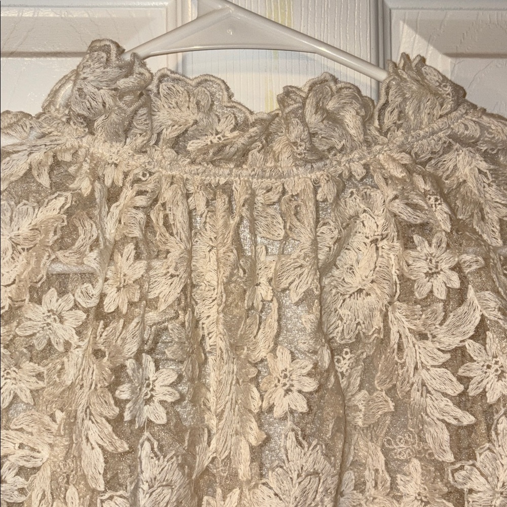 Elegant Cream embroidered Lace sheer Blouse - Picture 8 of 8